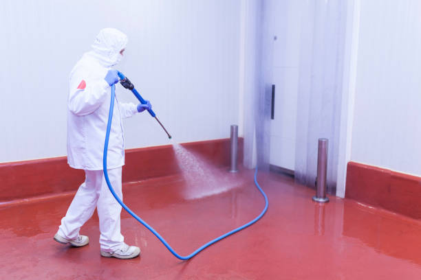 Best Graffiti Removal  in Essex, MD