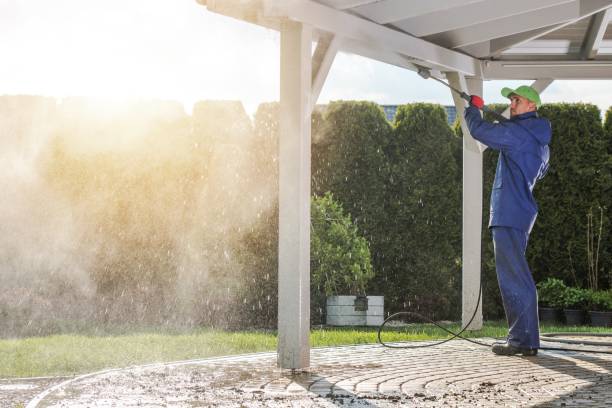 Best Animal Enclosure Cleaning  in Essex, MD