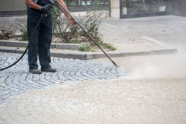 Best House Exterior Washing  in Essex, MD