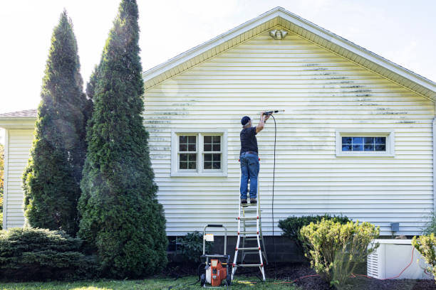 Best Solar Panel Cleaning  in Essex, MD